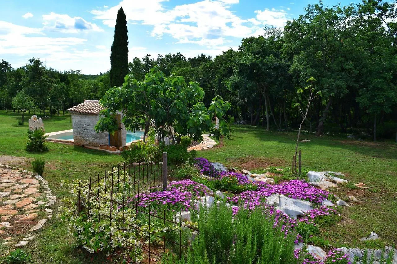 Cottage Al Merlo Olivo بوجي كرواتيا