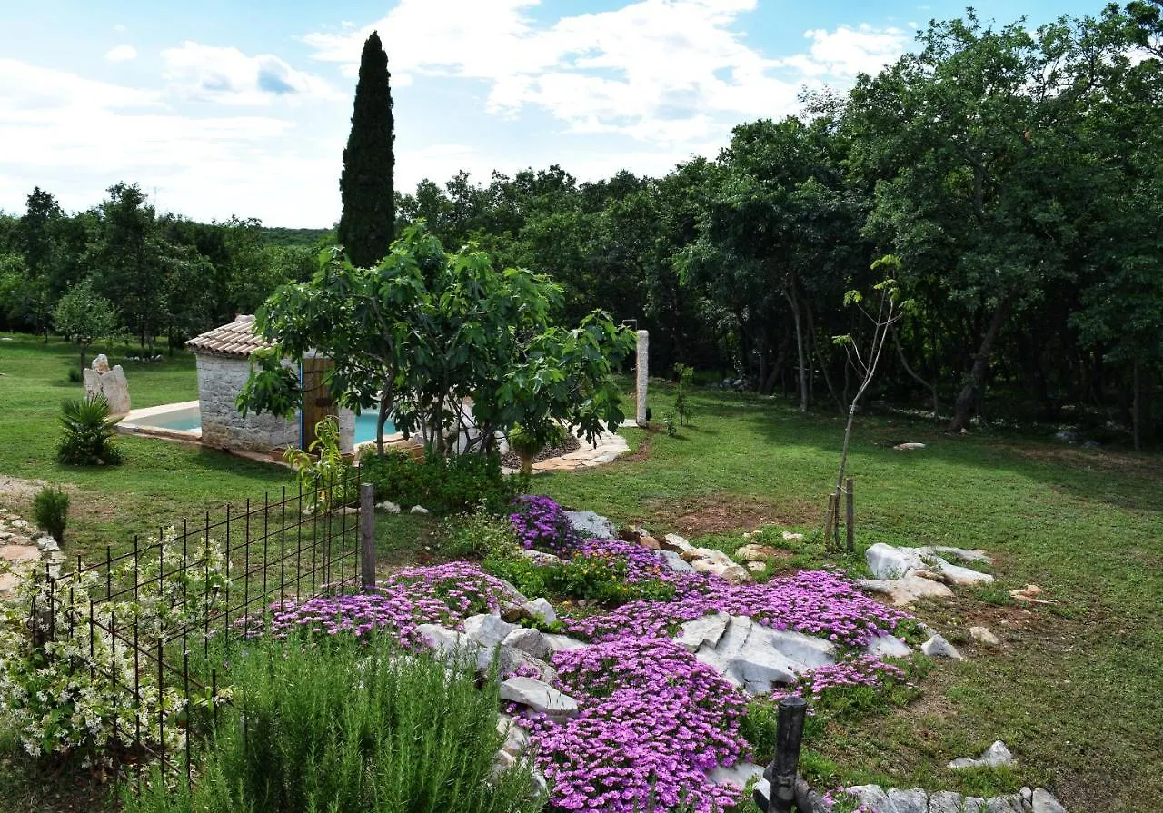 بيت للعطل Cottage Al Merlo Olivo بوجي
