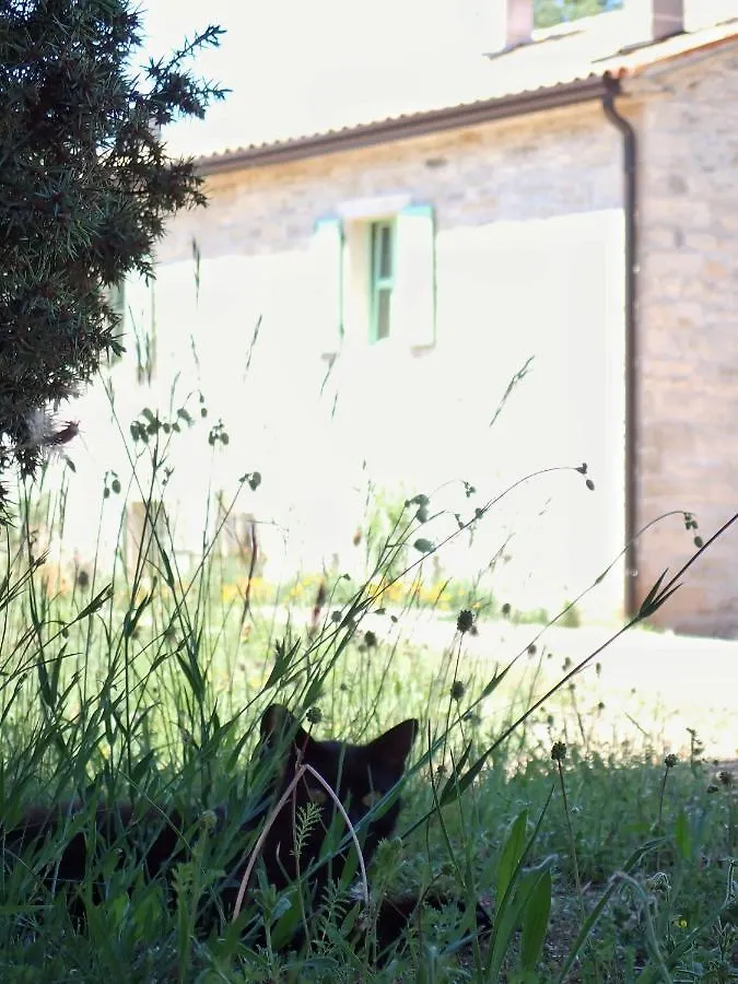 بيت للعطل Cottage Al Merlo Olivo بوجي